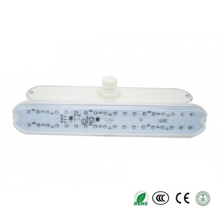 B-36G E14 24V Ferris Wheel Lights