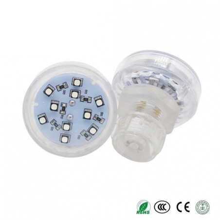 S-14G RGB Changing LED Carnival Light